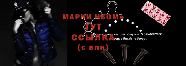 соль ск Вязьма
