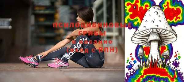 соль ск Вязьма