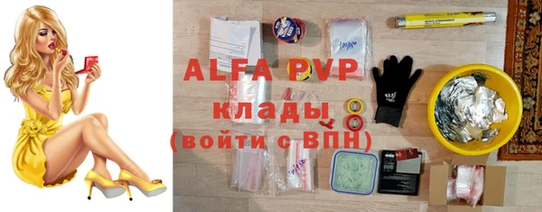 spice Вяземский